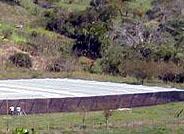 La agricultura bajo plástico evoluciona hacia modelos más sostenibles