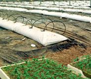 La Junta informa al Gobierno alemán sobre la certificación de calidad de los productos andaluces
