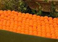 El consumo regular de naranjas interviene en la prevención de enfermedades coronarias según la Fundación Valenciana del Corazón