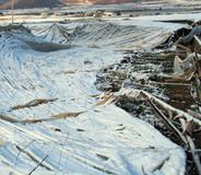 Aumentan las hectáreas aseguradas de invernadero en Almería