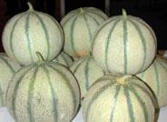 Aumenta la demanda del Cantaloup, y disminuye su oferta en la provincia
