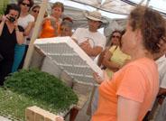La Universidad de Almería, por el ahorro energético en la agricultura intensiva