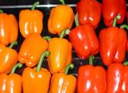 Almería genera menos del 2% de las alertas sanitarias de frutas y hortalizas en la Unión Europea