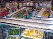 La Interprofesional vuelve al trabajo con el nuevo Plan de Gestión de Crisis de precios