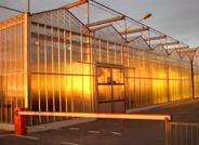 Hortyfruta muestra a la prensa alemana el modelo Almería