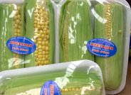 Cultivos de maíz dulce en invernadero como complemento a la oferta hortofrutícola
