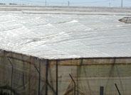 El agricultor almeriense invierte más en plásticos de larga duración