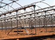 La importancia de la estructura de los invernaderos para la producción hortofrutícola de Almería