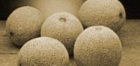 Agricultura afirma que la OCM de frutas favorece un comercio transparente