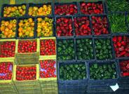 La alhóndiga La Unión se consolida como la primera plataforma hortofrutícola de la provincia de Almería