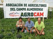 Agricultores de El Ejido, Dalías y Berja crean una nueva asociación