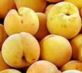 Después de 26 años, Macfrut sigue siendo el punto de referencia italiano para el sector hortofrutícola.