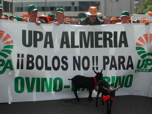 El Gobierno aprueba la nueva normativa de identificación de ganado ovino y caprino