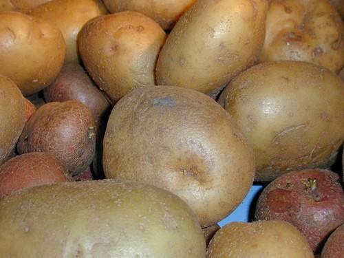 El Comité de Patata de FEPEX analiza la situación de la campaña de otoño e invierno
