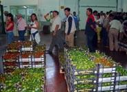 El Centro Tecnológico de la Industria Auxiliar de la Agricultura-Tecnova organizará el próximo día 10 de noviembre el Workshop “La Función de compras en la empresa II. Negociación”
