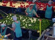 Junta destina 168 millones a inversiones a la agroindustria, más el Fondo de apoyo a las pymes agroalimentarias