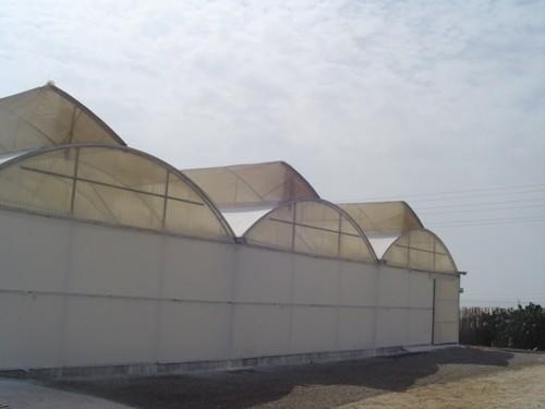 La innovación y financiación permitirán a la agricultura almeriense mantener mercado exterior