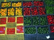 El XXVIII Congreso Internacional de Horticultura se presenta en Expo Agro