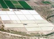 Productores internacionales destacan el papel de la agricultura frente el hambre y la biodiversidad