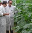 CAAE y el Colegio Oficial de Ingenieros técnicos agrícolas de Andalucía Occidental firman un acuerdo de colaboración