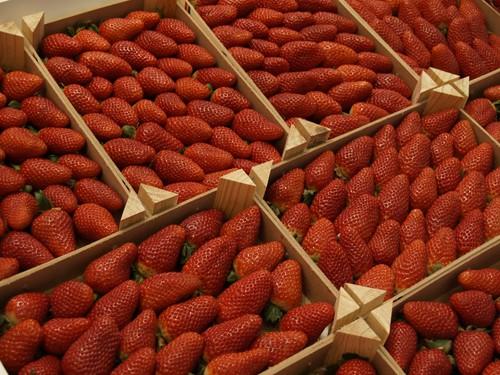 Agricultura anuncia nuevas acciones promocionales para reforzar la imagen de la fresa
