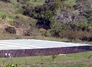 El MARM establece las bases reguladoras de las ayudas del Programa nacional de reestructuración para el sector del algodón