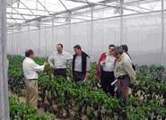 Una delegación panameña acude a la Cámara de Comercio para conocer la tecnología aplicada en invernaderos