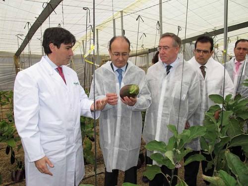 El consejero Soler conoce en Almería un proyecto de mejora genética del calabacín y la berenjena