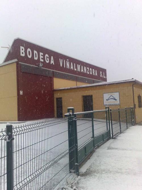 Bodega Viñalmanzora, premiada en el IX Concurso Internacional Bianual Bacchus 2010 celebrado en Madrid