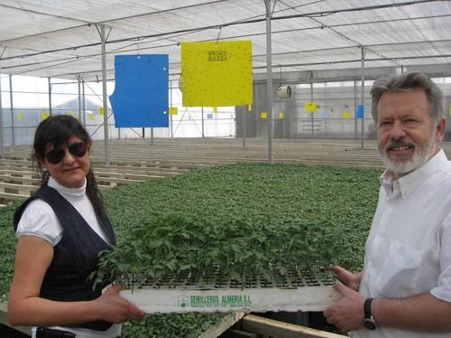 La Junta concedió el pasado año medio millón de euros a los semilleros de la provincia para la mejora de la calidad de los plantones de hortalizas