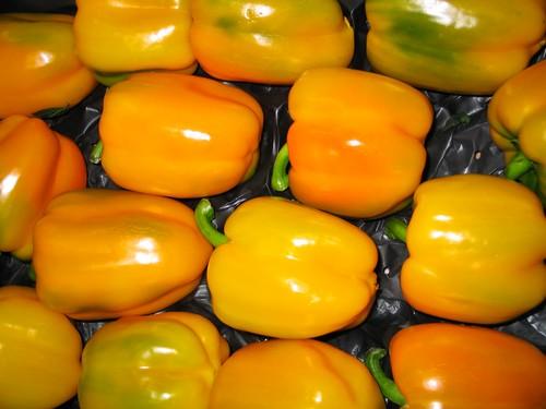 El MARM patrocina la Jornada de Armonización Internacional de Normas de la Producción Ecológica