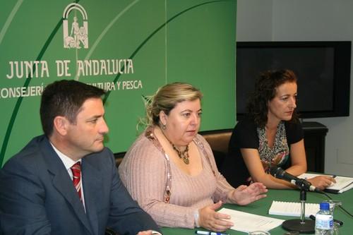 La Junta trabaja en modificaciones legislativas que permitan establecer precios mínimos al productor y mejorar el nivel de la renta agraria andaluza