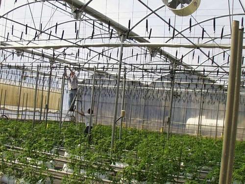 El Secretario de Estado de Medio Rural y Agua destaca la vinculación de la agricultura con los objetivos de la Estrategia 2020