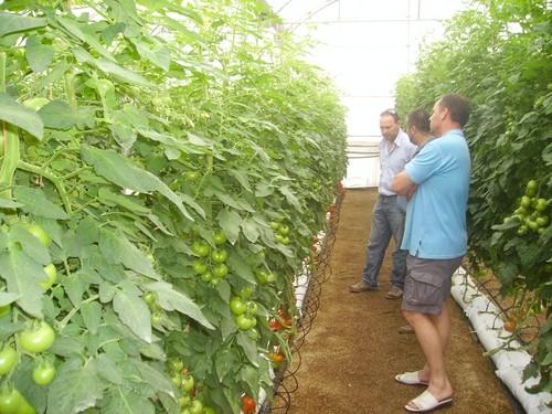 Las deudas en el campo almeriense se mantienen en una campaña de altibajos