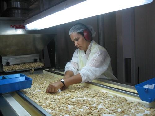 El valor de la exportación de almendra de Almería se incrementa un 191% en los cinco primeros meses del año