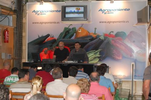 Las subastas de Agroponiente, esta temporada, serán a las 10.30 en La Redonda y a las 12.30 en La Redonda y Níjar