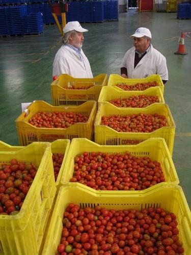 La exportación de frutas y hortalizas impulsa la balanza comercial de Almería con un incremento del 10% entre enero y junio
