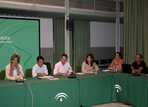 Las acciones impulsadas por la Junta logran controlar la plaga de ‘Tuta Absoluta’ en los cultivos de tomate al aire libre