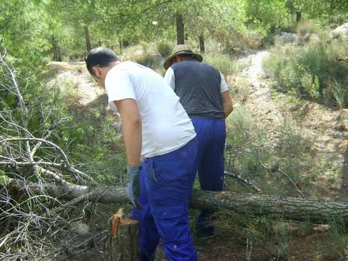 Denuncian los daños que producirá a una bodega el traslado de un vertedero municipal