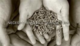 El Subdirector General de Calidad Diferenciada y Agricultura Ecológica destaca las actuaciones del MARM sobre información al consumidor y promoción del consumo del sector ecológico