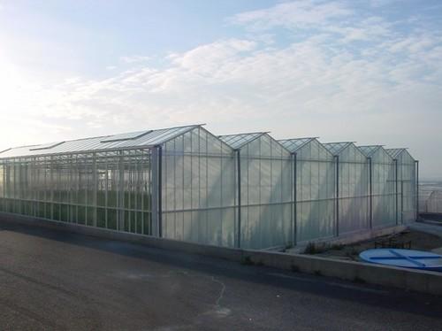 Cajamar inyecta liquidez al sector agrario español