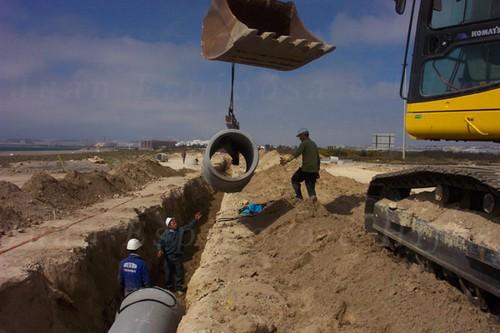 Los ingenieros agrícolas ocupan los primeros puestos de las titulaciones más demandas en el mercado laboral actual
