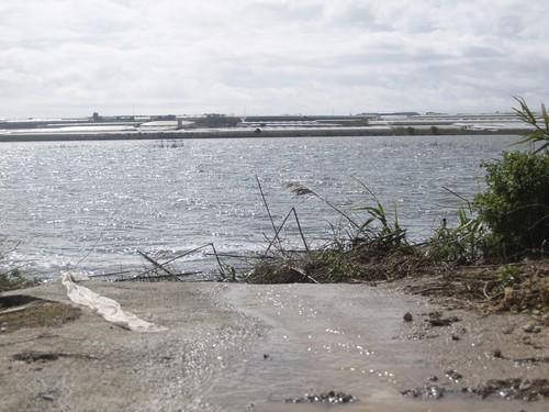 El nivel de agua de La Balsa del Sapo ha subido un metro y ochenta centímetros en sólo 12 meses