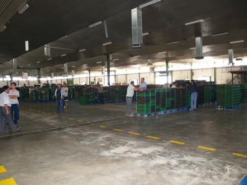 Los agricultores, protagonistas en Madrid con AgrupaEjido