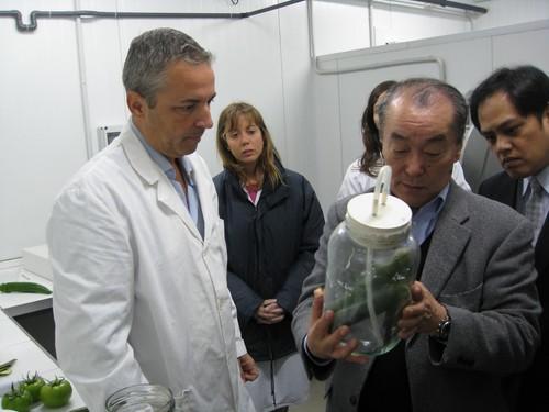 Una empresa japonesa presenta a la Consejería de Agricultura un sistema de conservación de hortalizas que facilita su exportación a mercados lejanos