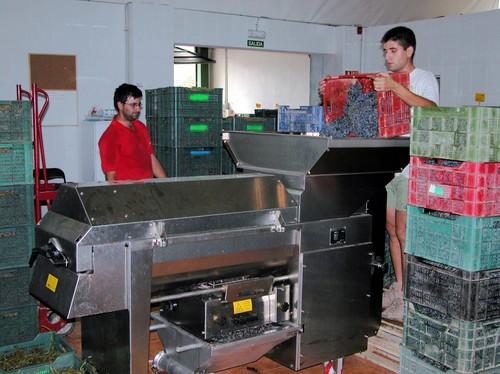Diez bodegas almerienses unifican su oferta por Navidad