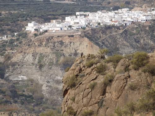 Las comarcas de Sierra de Filabres-Alhamilla y la Alpujarra almeriense se beneficiarán del Programa de Desarrollo Rural Sostenible