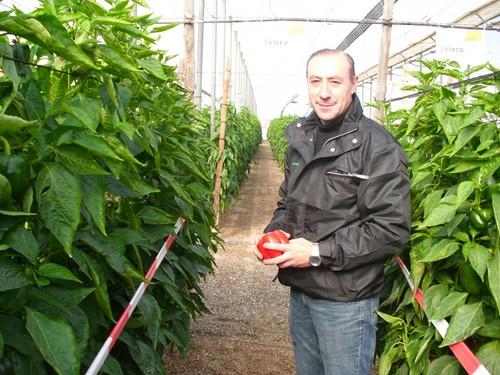 Monsanto muestra todas sus variedades de pimiento en su novedoso ‘livingproof’