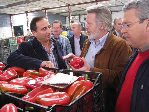 Almería incrementa un 20% las exportaciones de hortalizas en octubre
