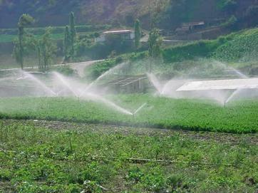 La 'sequía de medidas' en 2010 agudiza la crisis del campo español, según Fenacore